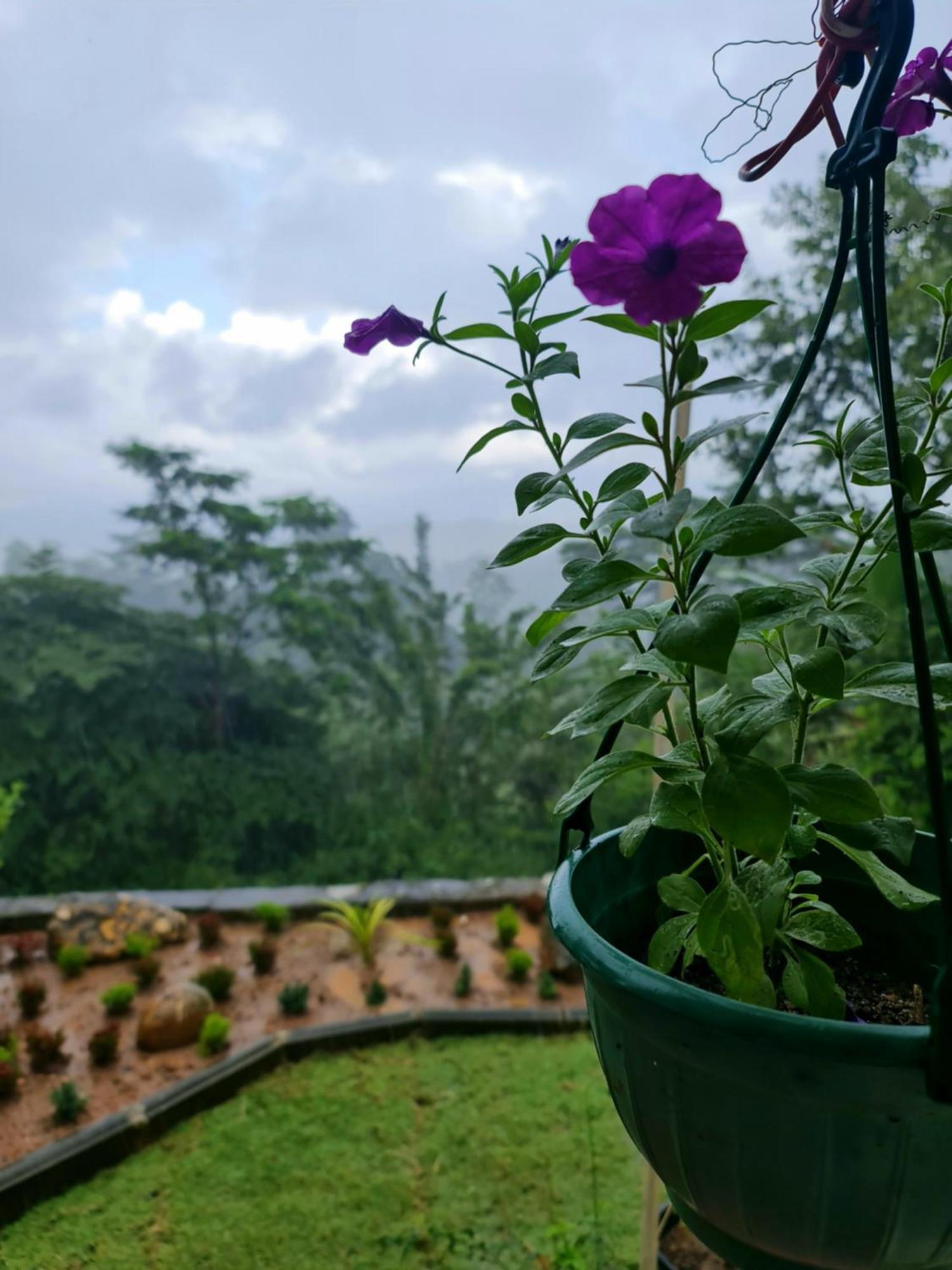 Hello Kandy Homestay Exterior foto