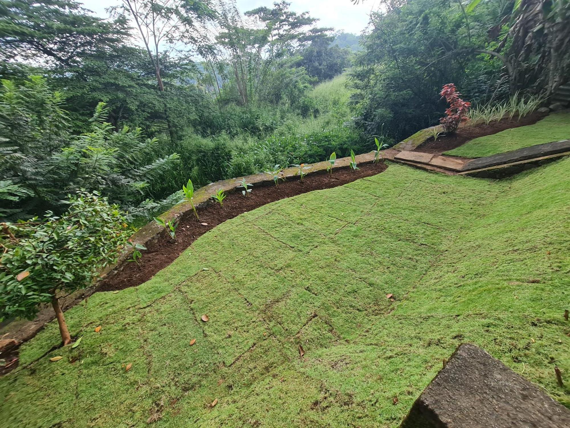 Hello Kandy Homestay Exterior foto
